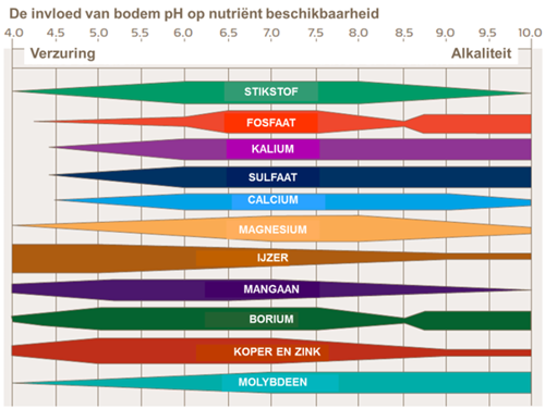 PH Perfect System